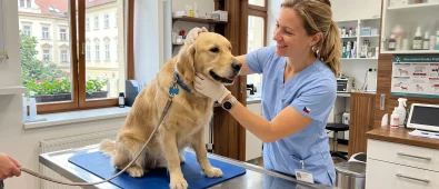 Vyšetření psa: Co obnáší veterinární prohlídka, jak probíhá a orientační ceník Vyšetření psa: Co obnáší veterinární prohlídka, jak probíhá a orientační ceník
